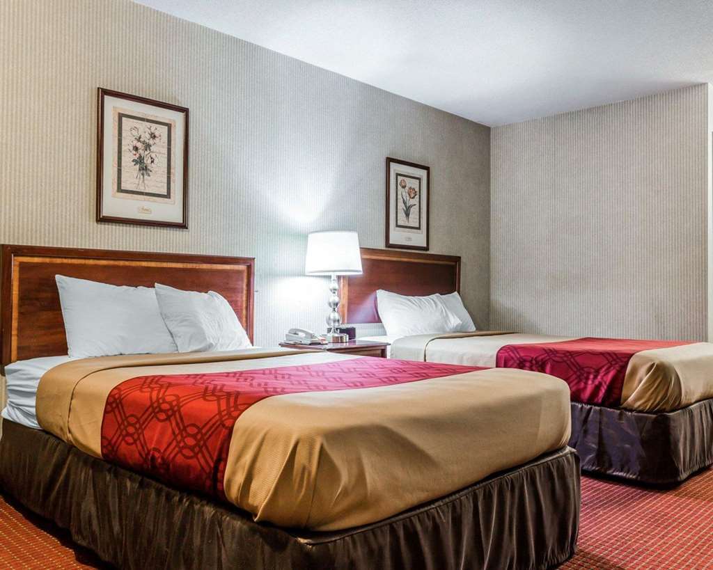 Econo Lodge Inn & Suites Matthews - Charlotte Rum bild
